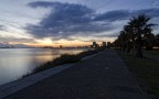 The way....