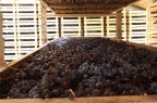 posto altre foto di una cantina in valpolicella sperando siano di vostro gradimento.
consigli su luce e composizione sono sempre ben accetti!!!