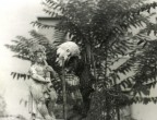 La danza macabra