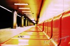 Tutto, immagini, suoni,fatti, sentimenti, emozioni possono essere gli stessi ma il punto di vista personale e' cio' che crea i colori le sfumature gli stati d'animo, la voglia di rimanere ancorati o meno ad un emozione, vediamo e sentiamo tutti le stesse cose, ma la scelta personale di come guardarle sentirle e gestirle ci rende unici