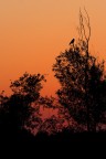 Sul Po al tramonto