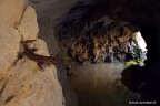 Un bellissimo anfibio che vive prevalentemente nei pressi di cavit umide o vicino a corsi d'acqua.
In questo caso abbiamo cercato di ambientarlo mantenendo la luce che proveniva dall'esterno e illuminando il soggetto con due flash diffusi.