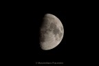 Iso 200, F11, focale 250mm, velocit di scatto 1-320 e un bel cut per vederla in primo piano :) ritoccato un attimino la temperatura della foto in pp