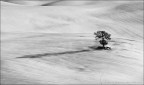 ...morbide linee...