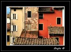 Canon 50D
Tamron AF 17-50 F2,8 Di II VC (50)
F: 6.4 1/250 ISO 100