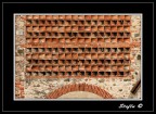 Canon 50D
Tamron AF 17-50 F2,8 Di II VC (50)
F: 4.6 1/250 ISO 100