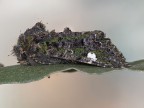 Falena