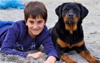my son &amp; my dog