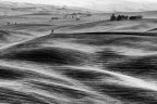 Toscana