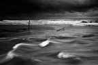 Black Sea