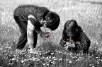 Piccoli gesti.