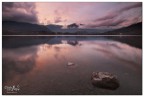 Pink reflections