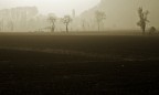 Campagne