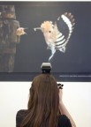 Photoshow 2012