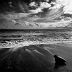 Mare BN
