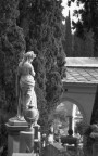 Roma - Il Verano