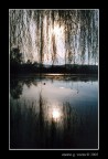 prova di controluce con praktica e kodak da 100 iso + grandangolo 28mm