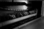 residuo di piano forte all'interno di un ex manicomio