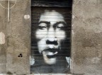 face gate