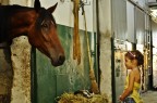 IL  CAVALLO E LA BAMBINA  NELLE  SCUDERIE