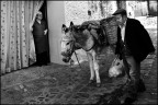 AL RITORNO DALLA SPESA AL RITORNO DALLA SPESA