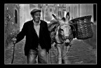 TURSI. L'ASINO E IL  PADRONE