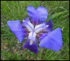 NIKON COOLPIX S9300
distanza focale 4.5mm (eq. 35mm : 25mm)
1/200 sec - f/3.5 - iso: 125