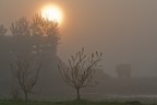 ISO 400
mm 74
f7.1
sec1/1250
L'alba del giorno di Pasqua, una cascina del Monferrato, i lavori agricoli sono ancora a risposo.......
Aspetto le vostre critiche