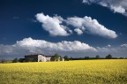 La Casa di Campagna