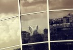 new skyline