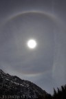 I cani solari o Pareli (dal greco par, "presso" e hlios, "sole") sono fenomeni ottici consistenti nella formazione di dischi a sinistra del sole. Sono prodotti - come gli aloni - da rifrazione e riflessione della luce del Sole per opera di piccoli cristalli di ghiaccio in sospensione nei cirri. Questi aloni presentano il rosso allinterno ed il violetto allesterno.