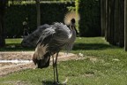 Canon 75-300 4-5.6 / Eos 300d
Iso 100 - 1/200 f/5,6