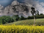 Aspettando il temporale