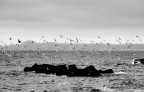 temporale in arrivo