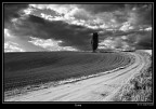 A voi...

Bene accette critiche e commenti

Una rivisitazione:
http://www.photo4u.it/viewcomment.php?pic_id=274848