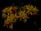 luci nella notte