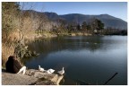Domenica ti porter sul Lago.........vedrai............