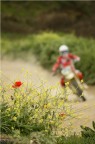 Ero su borda pista e ho scelto di fare questo esperimento pur essendo ben consapevole che sarebbe stata poco "sportiva", ma questa volta mia colpita pi l'associazione di colori che la ricerca della velocit e dell'attimo.
da brava ragazza mi sono fatta tentare!

ps. Sono nuova e sono caduta nell'errore: non avevo letto che la richiesta di commento era una al giorno e questa foto  stata presa per sbaglio. Ma ormai era troppo tardi. Scusatemi!