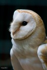 f/5,6 1:200 ISO 640