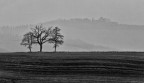 Val D'Orcia bn