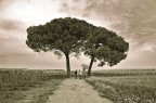 Campagna