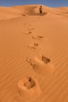 camminare nel deserto,a piedi nudi sentendo la sabbia che scricchiola sotto i tuoi passi.....guardare l'orizzonte e ammirare la distesa di dune che con forme sinuose e delicate disegnano un paesaggio onirico ti trasmettono emozioni uniche!
a voi...un saluto!
