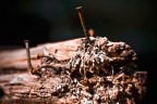come pu l'acqua distruggere e modificare l'aspetto delle cose? la forza della natura non ha limiti...
Foto scattata con un 70-300 VR