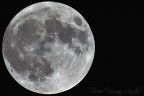  tutta colpa della luna, quando si avvicina troppo alla terra fa impazzire tutti  (cit. William Shakespeare)

Dati di scatto:
ora di scatto: 0:40 di giorno 6 ( la luna era pi vicina alla terra)
f: 5.6
tempo di esposizione: 1/400 s
ISO 100
distanza focale 300mm
distanza dal soggetto 357.000 km  :D