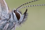 macro spinta altra prova