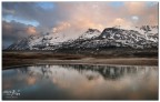Placid Reflection