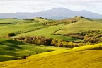 ... a colori