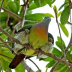 come  bella la natura!!!!