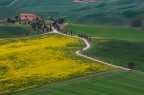 uno scorcio della Toscana