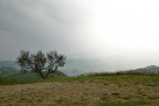 1/60 sec
f/18
ISO 400
Commenti graditi :)